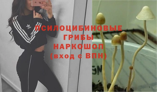 гидропоника Абдулино