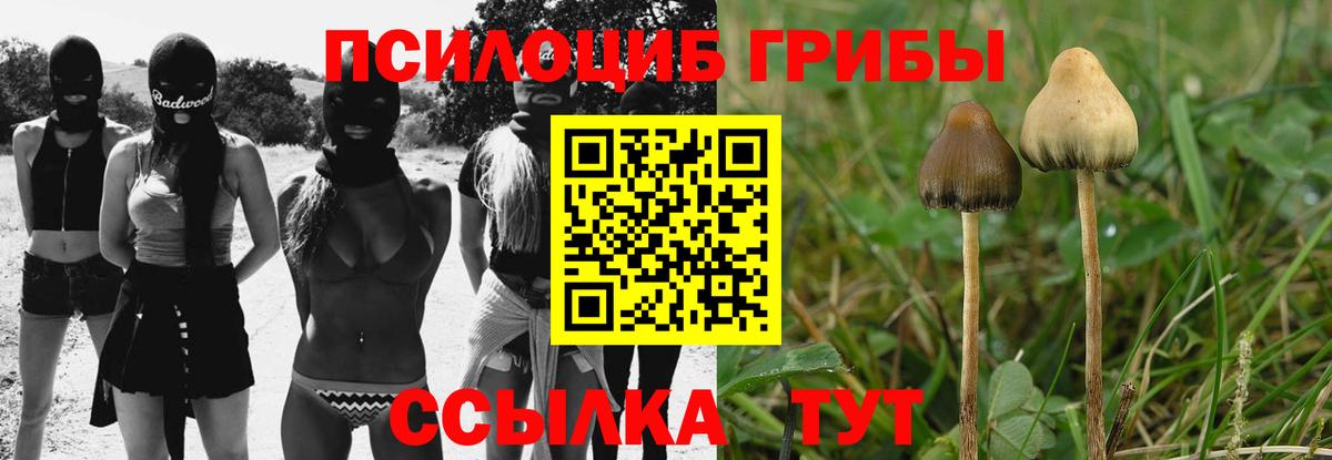 где найти   Вход с VPN  Галлюциногенные грибы Magic Shrooms  Алапаевск  Галлюциногенные грибы ЛСД 